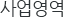 사업영역
